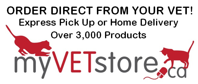 Visit our online vet store